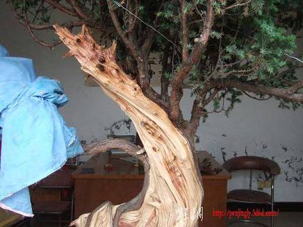 DSCF5622.JPG