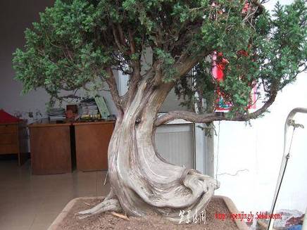 DSCF5610.JPG