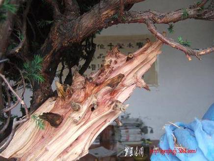 DSCF5629.JPG