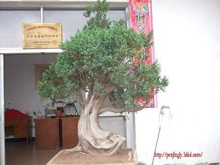 DSCF5612.JPG