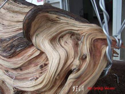 DSCF5642.JPG