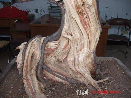 DSCF5621.JPG