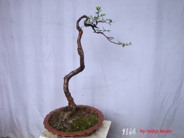 DSC04304.JPG