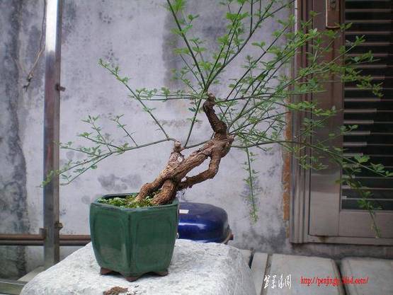100_0118.JPG