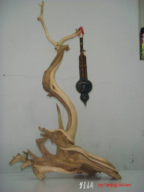 DSC02229.JPG