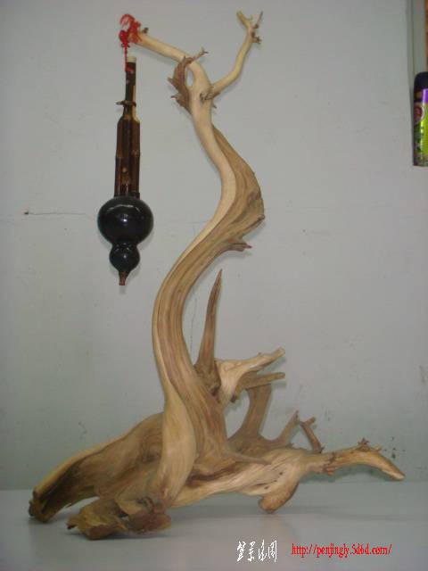 DSC02232.JPG