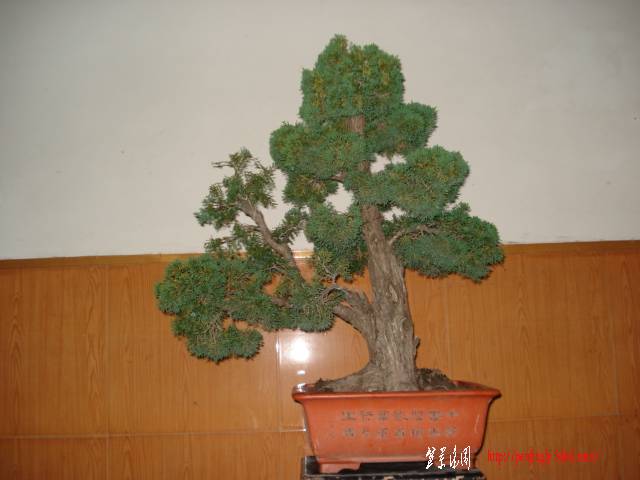 DSC09888.JPG