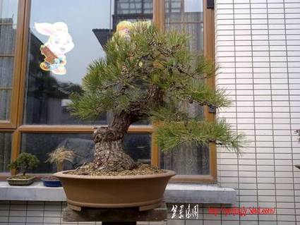 20110303131.jpg
