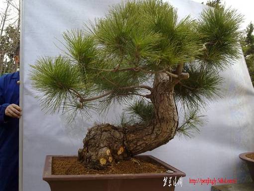 20110319142.jpg