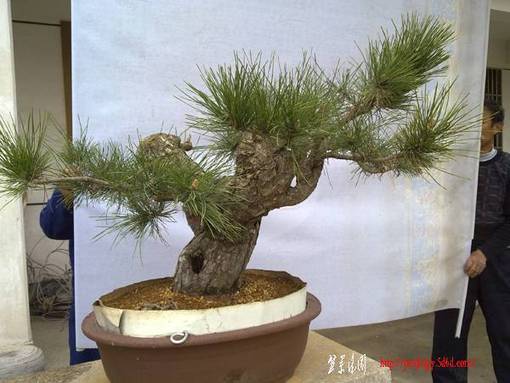 20110319141.jpg