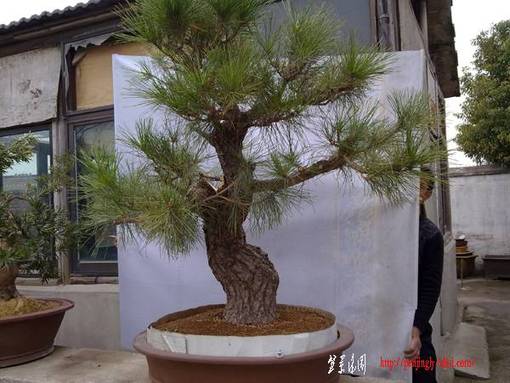20110319140.jpg