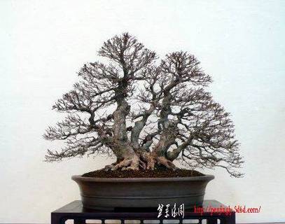 090a6baf9.jpg