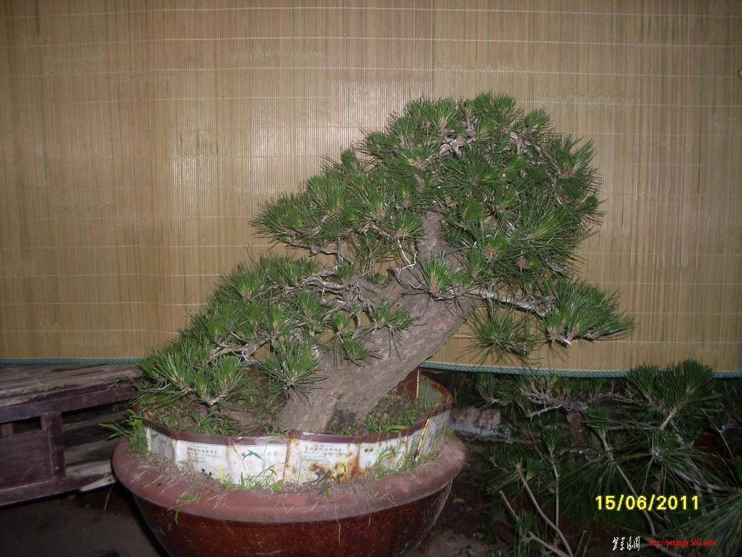 SDC10607.JPG