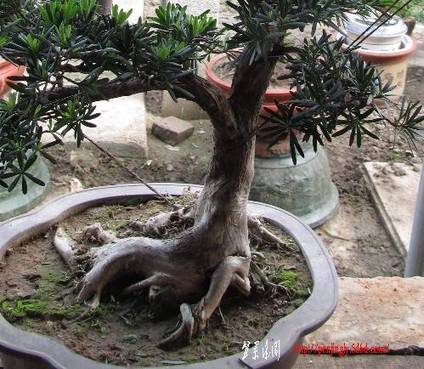 ޺8.jpg