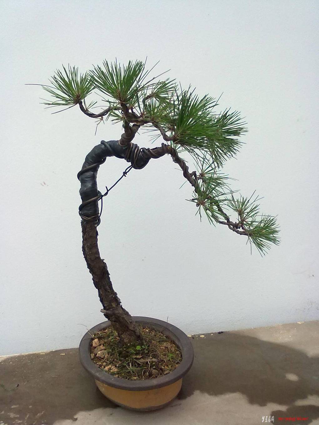 20110621418.jpg