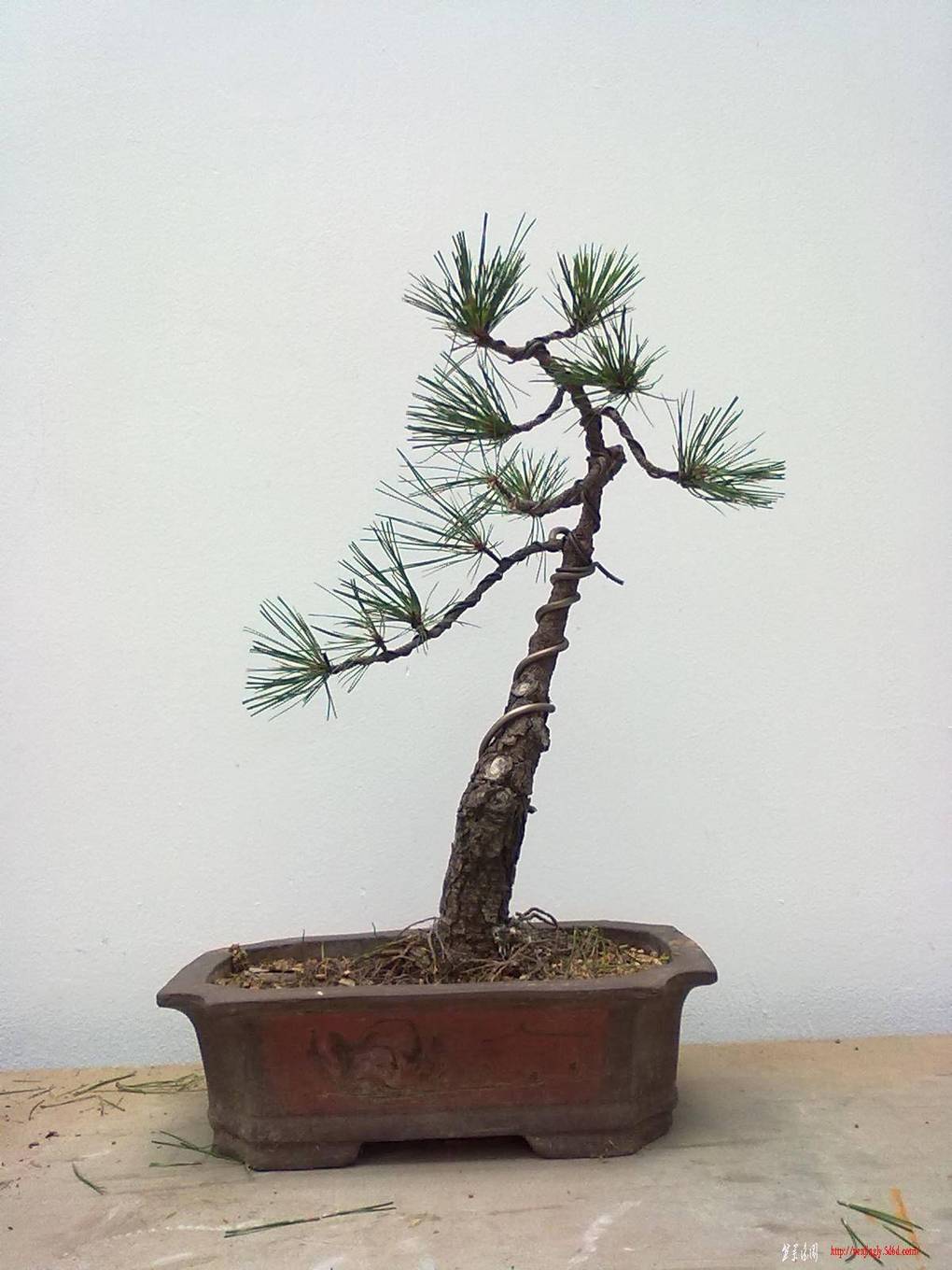 20110621421.jpg