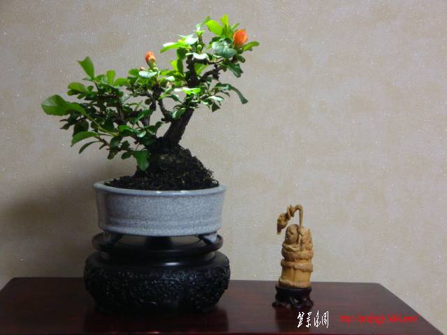 DSC05251.JPG