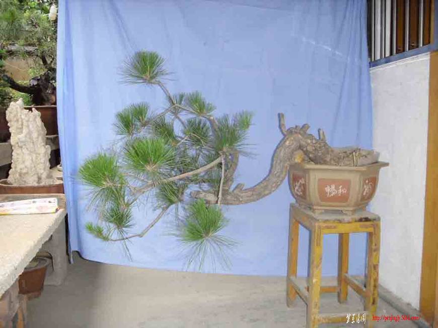 SDC12152.JPG