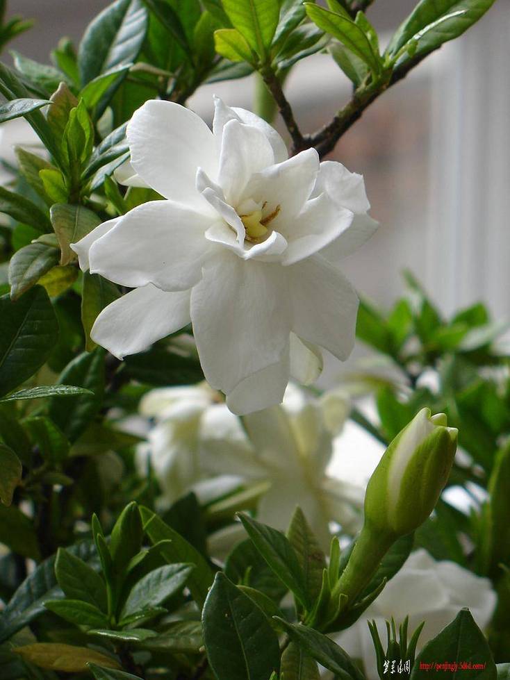 DSC07580.JPG