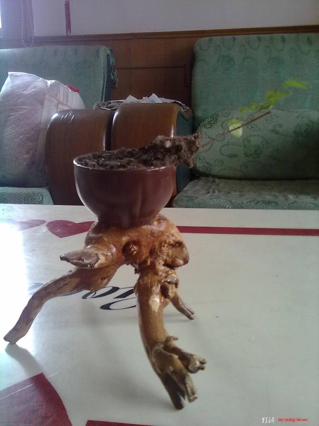 20110619077.jpg