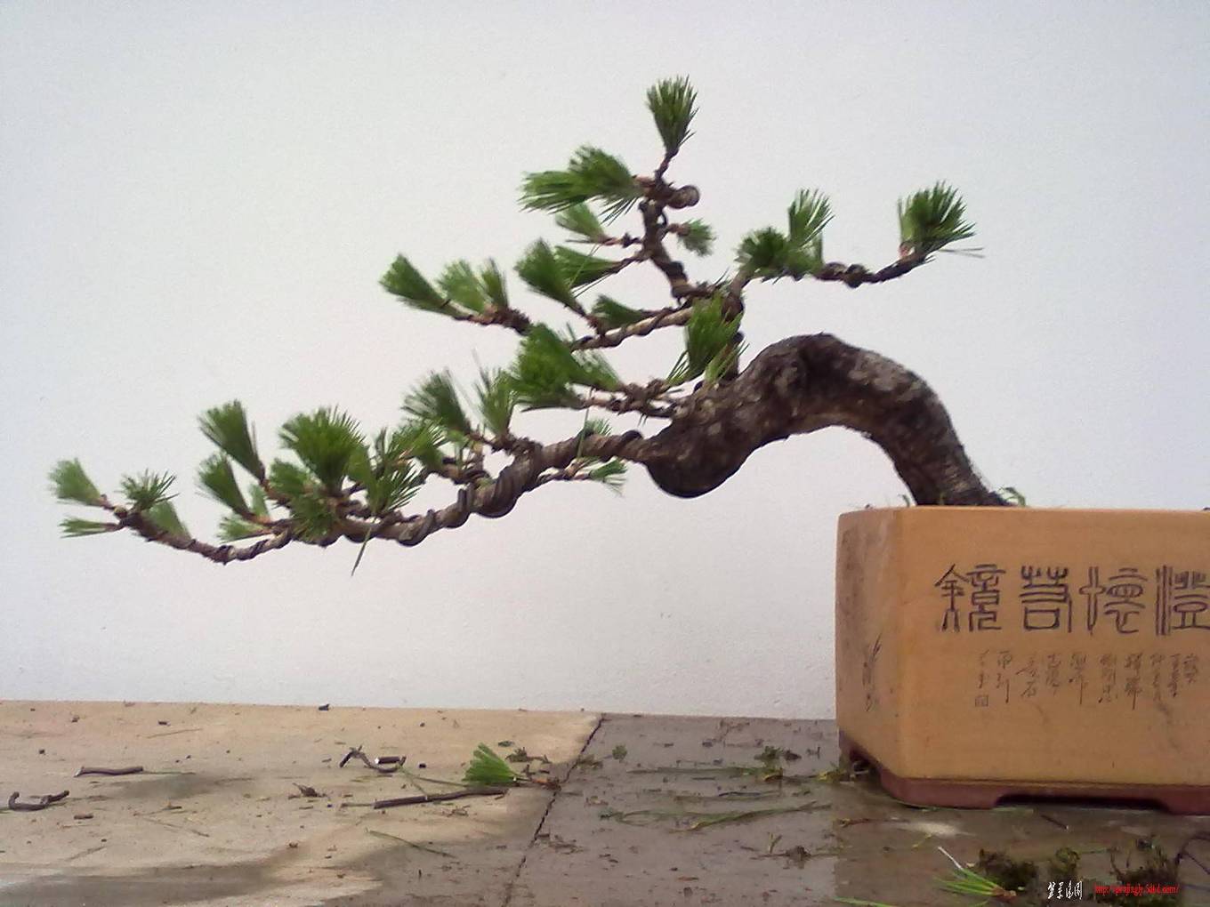 20110625432.jpg