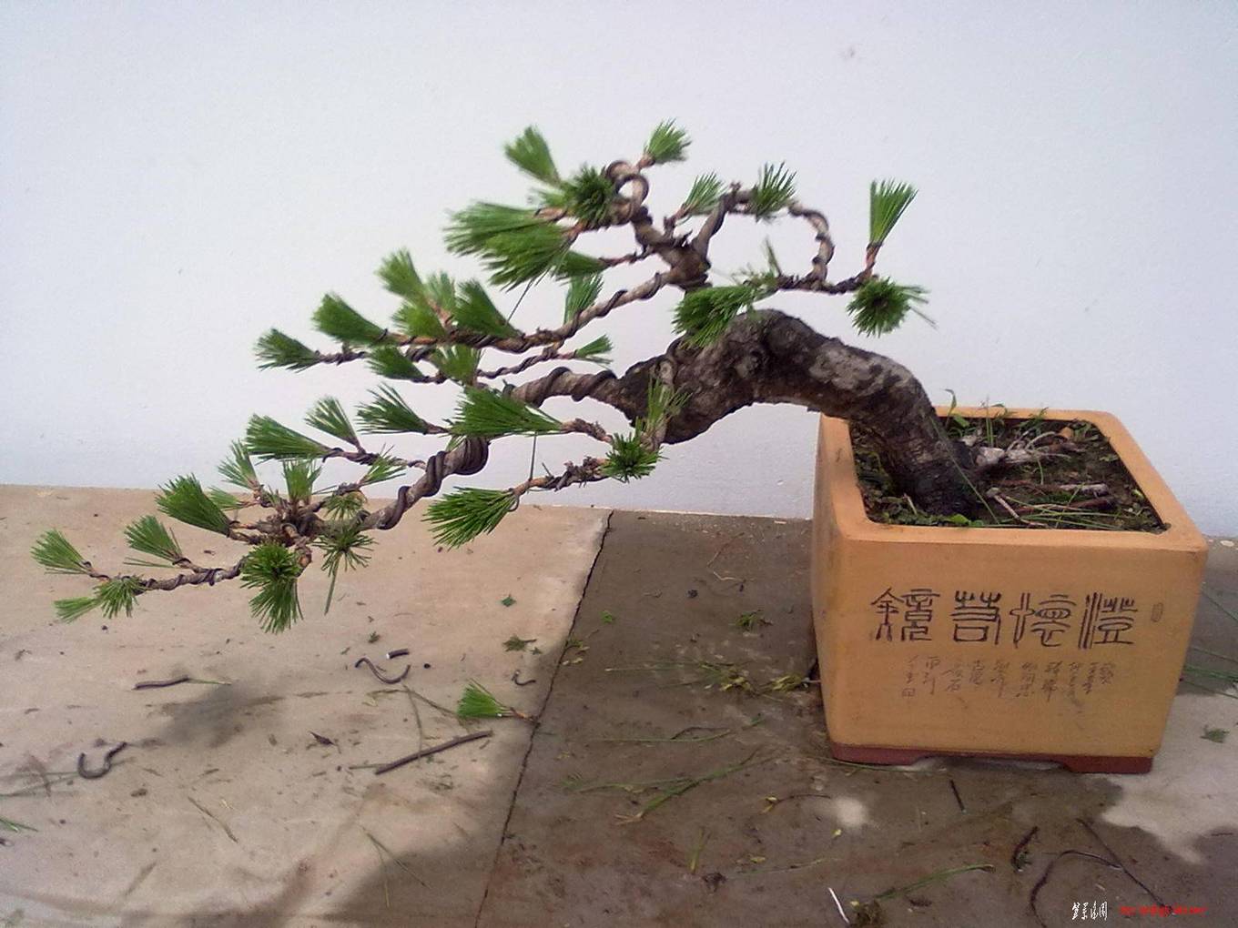 20110625433.jpg
