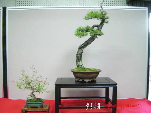 19kai-taguti-hirosi-dai.jpg
