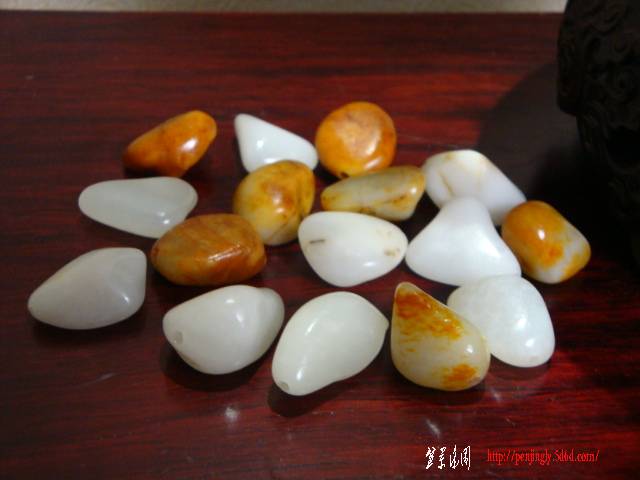 DSC05263.JPG