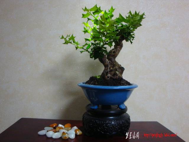 DSC05260.JPG
