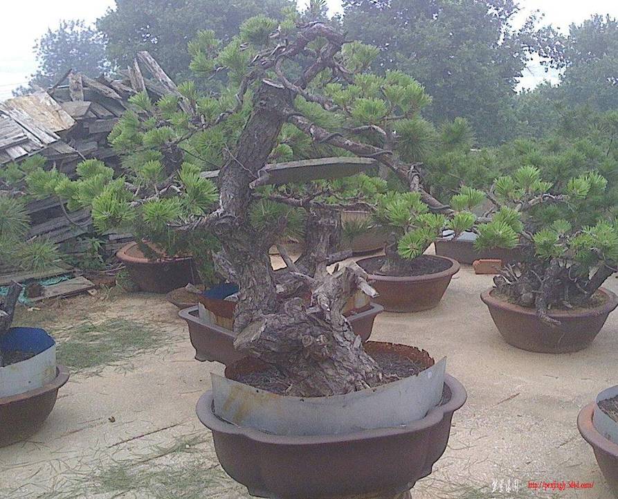 IMG0628132200.jpg