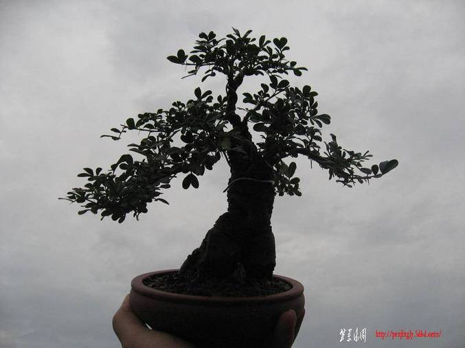 Ƭ 134.jpg