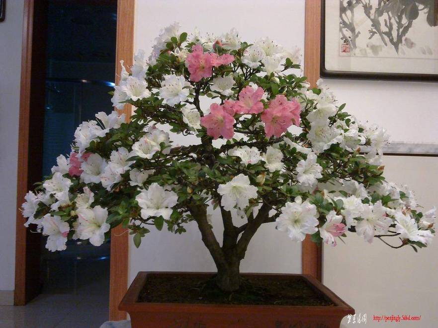 20110612254.jpg