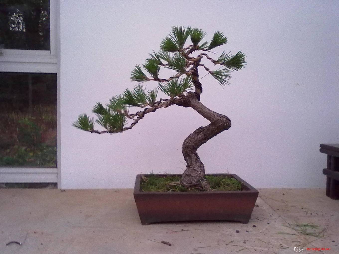 20110630443.jpg