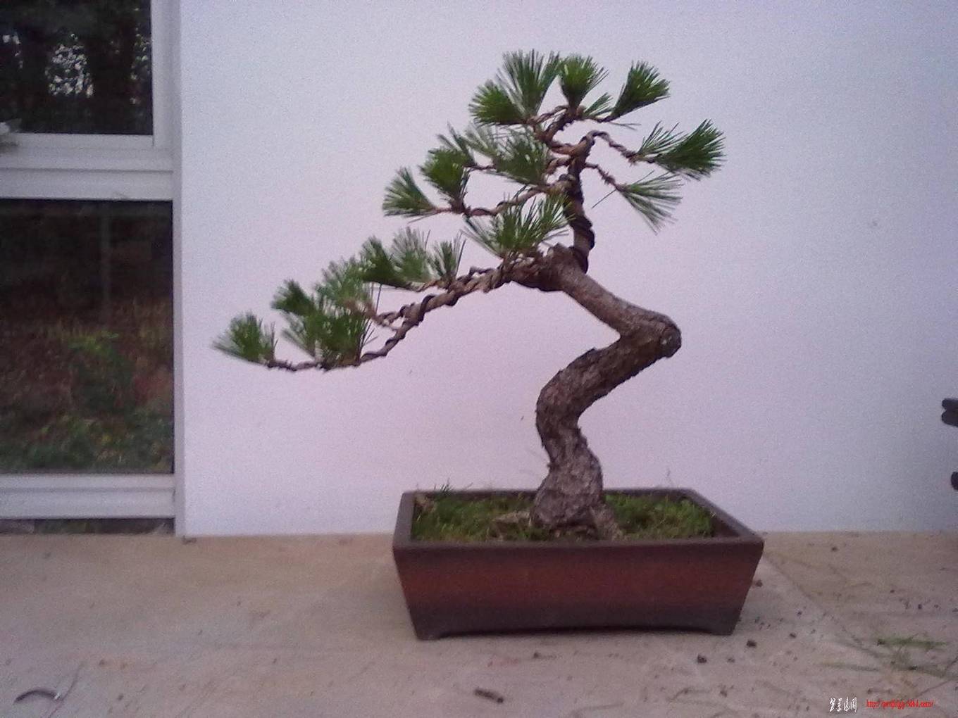 20110630444.jpg
