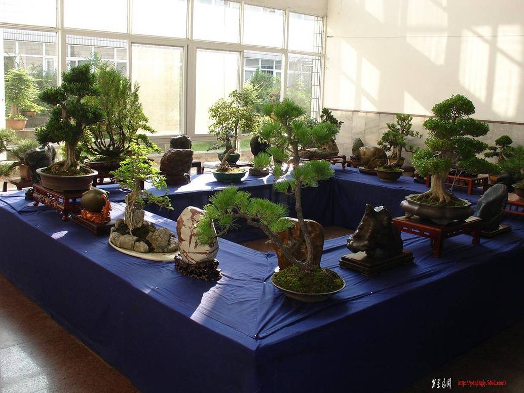 DSC08096.JPG