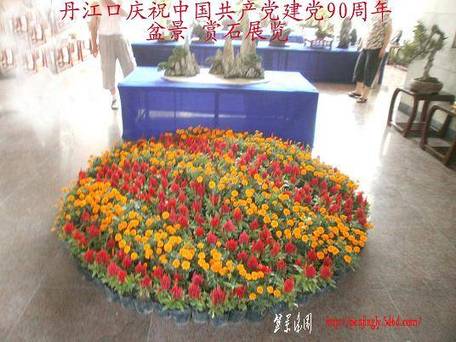P1010008.jpg
