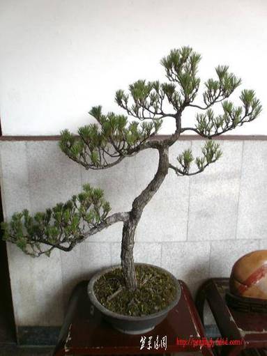 P1010023.jpg