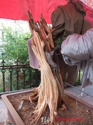 DSCF5790.JPG