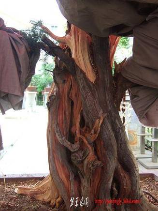 DSCF5791.JPG
