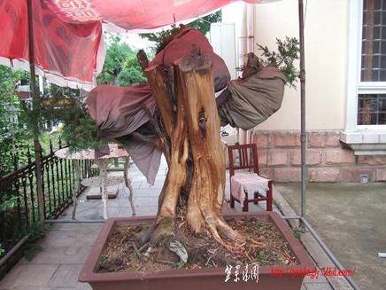 DSCF5773.JPG