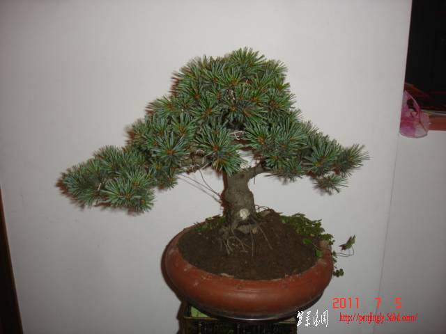 ��÷�� (1).JPG