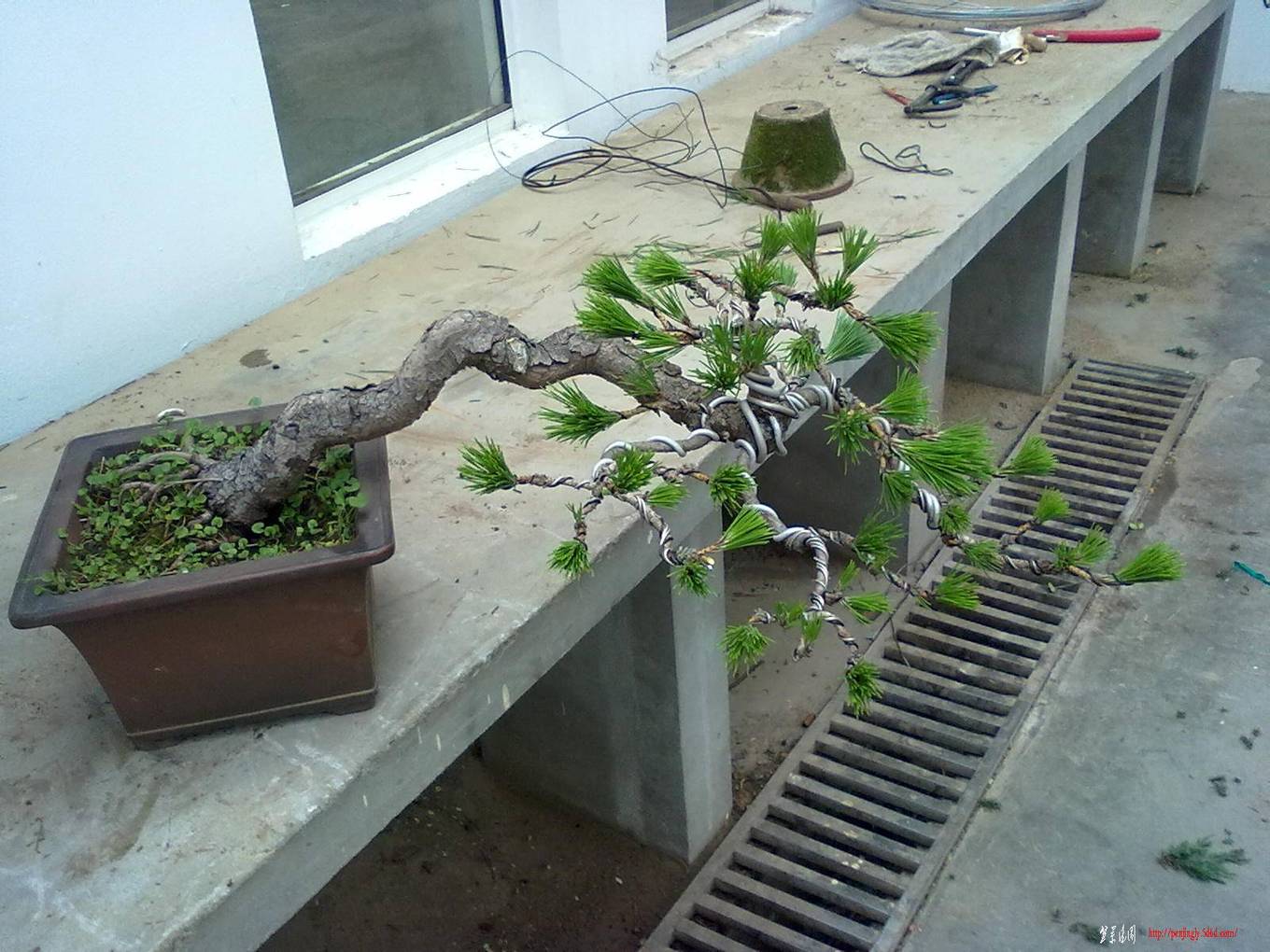20110705451.jpg
