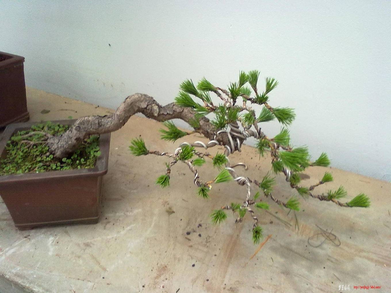 20110705453.jpg