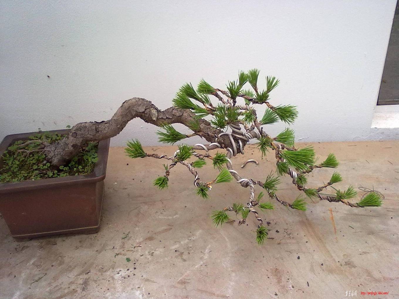 20110705452.jpg
