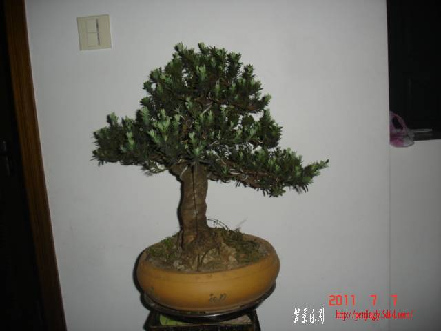 DSC01567.JPG