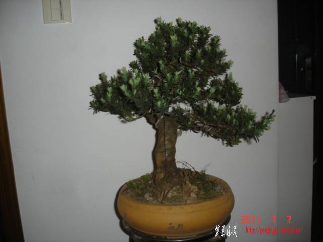 DSC01561.JPG