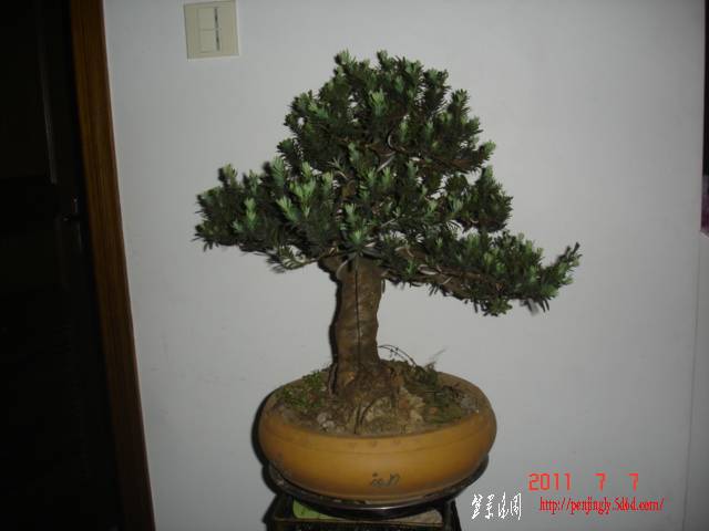DSC01566.JPG