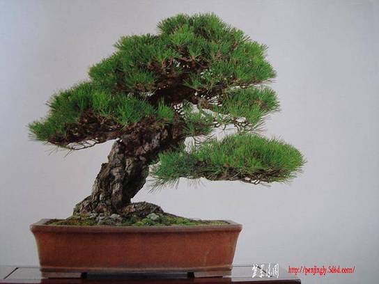 8HFXiUE029.jpg