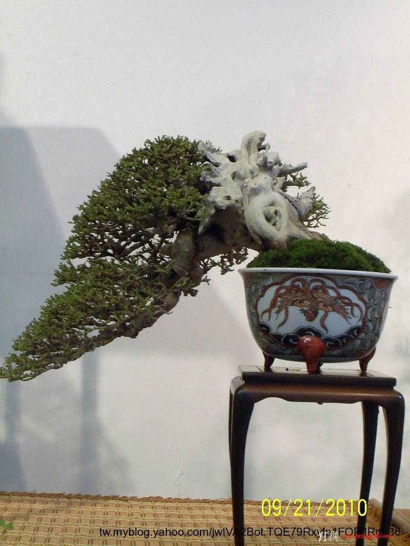 F23_20100921054208658.jpg