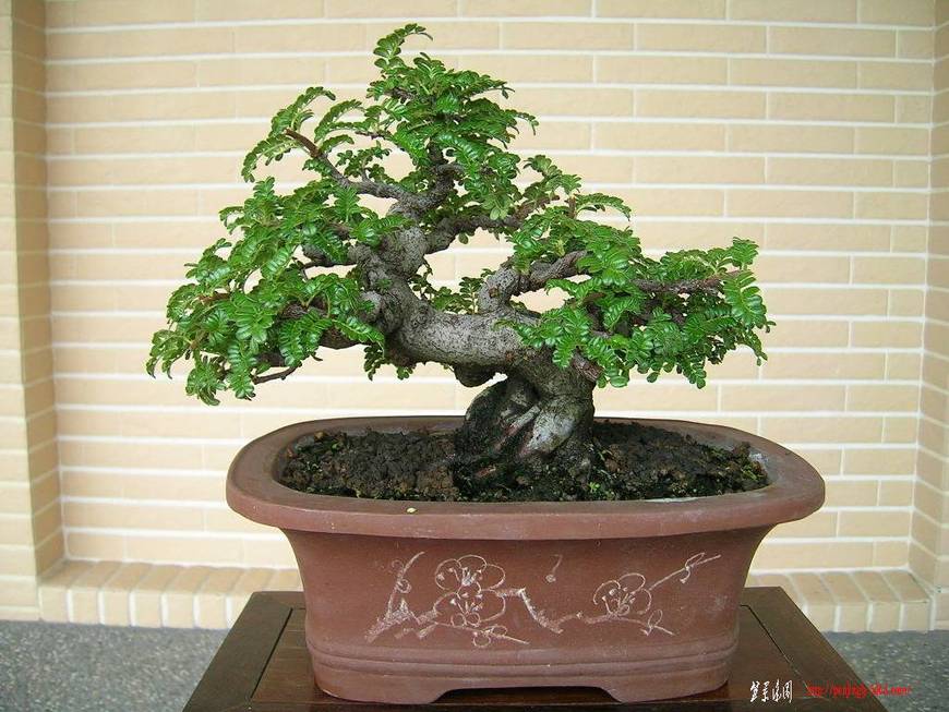 F23_20101020102849404.jpg